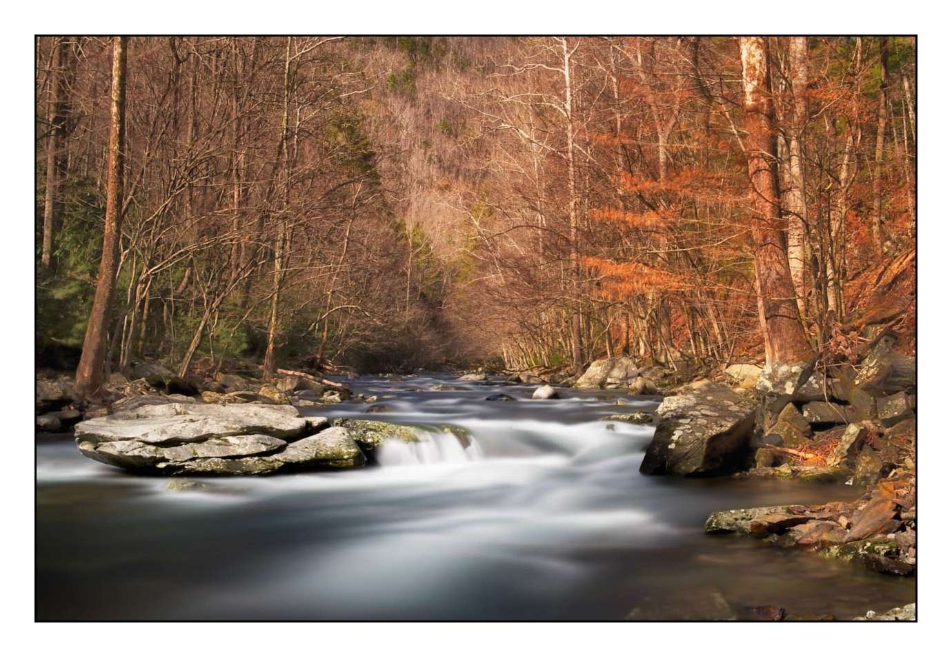 lumieres-et-couleurs/006-merveilles-naturelles-des-smoky-mountains/fr/01-150204TENSMO0048