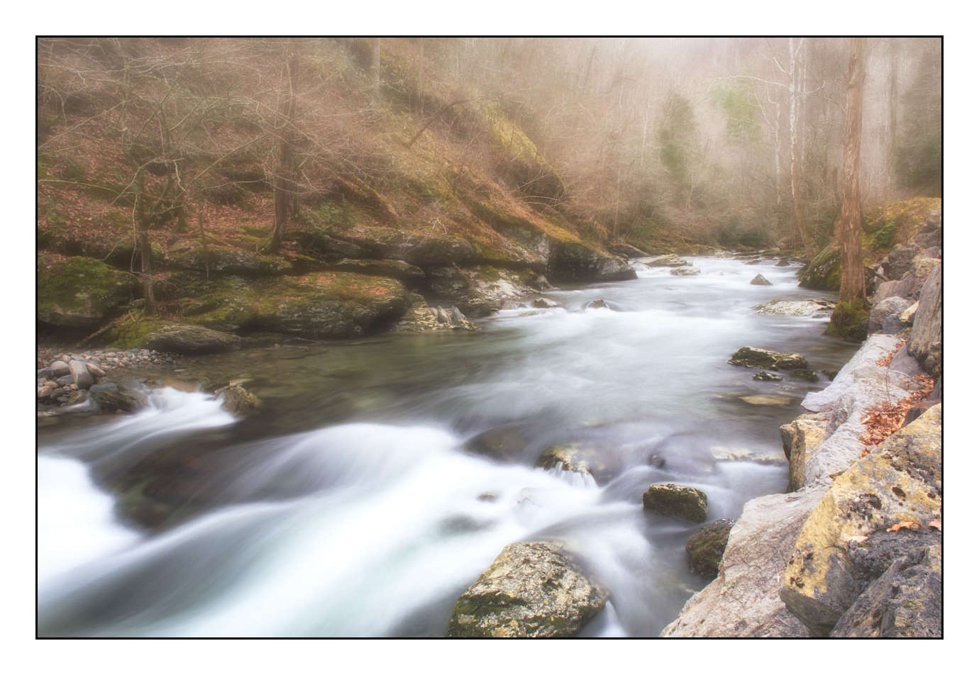 lumieres-et-couleurs/006-merveilles-naturelles-des-smoky-mountains/fr/09-150204TENSMO0036
