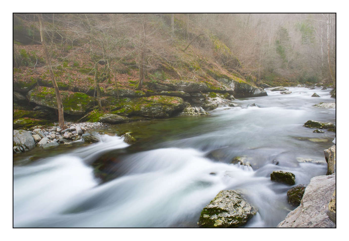 lumieres-et-couleurs/006-merveilles-naturelles-des-smoky-mountains/fr/10-150204TENSMO0038
