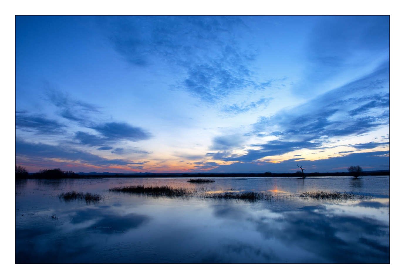 lumieres-et-couleurs/007-merveilles-naturelles-de-bosque-del-apache/edition-limitee/en/01-150107BOSAPA0773