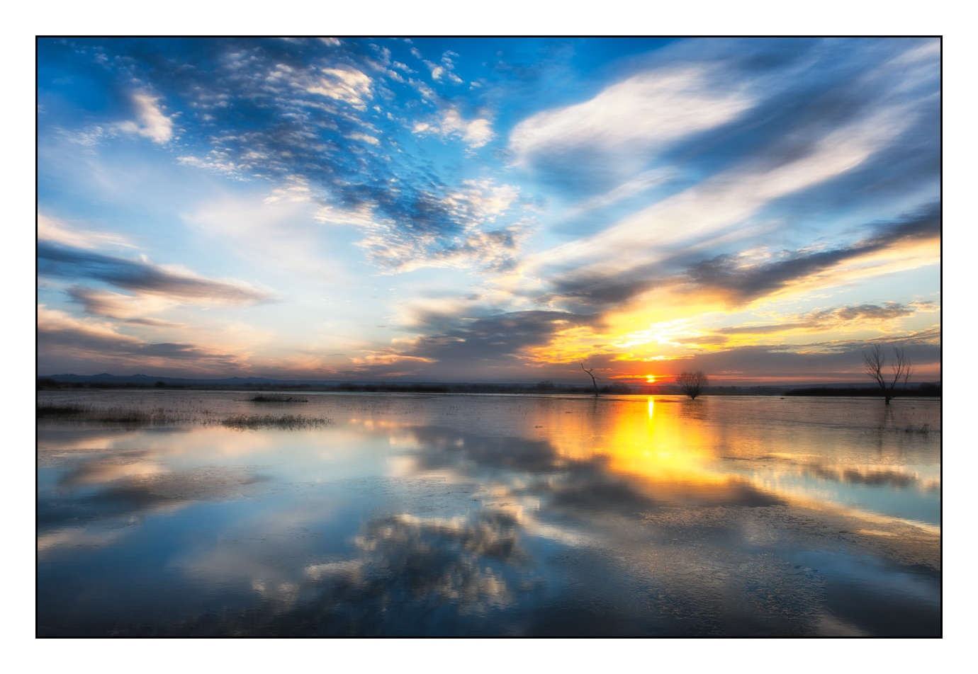 lumieres-et-couleurs/007-merveilles-naturelles-de-bosque-del-apache/edition-limitee/en/02-150107BOSAPA0794