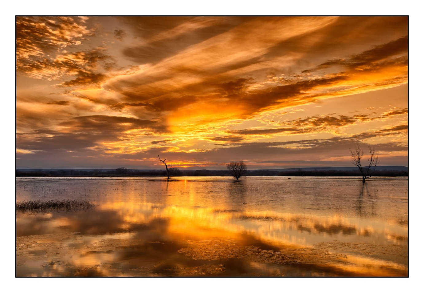 lumieres-et-couleurs/007-merveilles-naturelles-de-bosque-del-apache/edition-limitee/en/03-150107BOSAPAHD0017