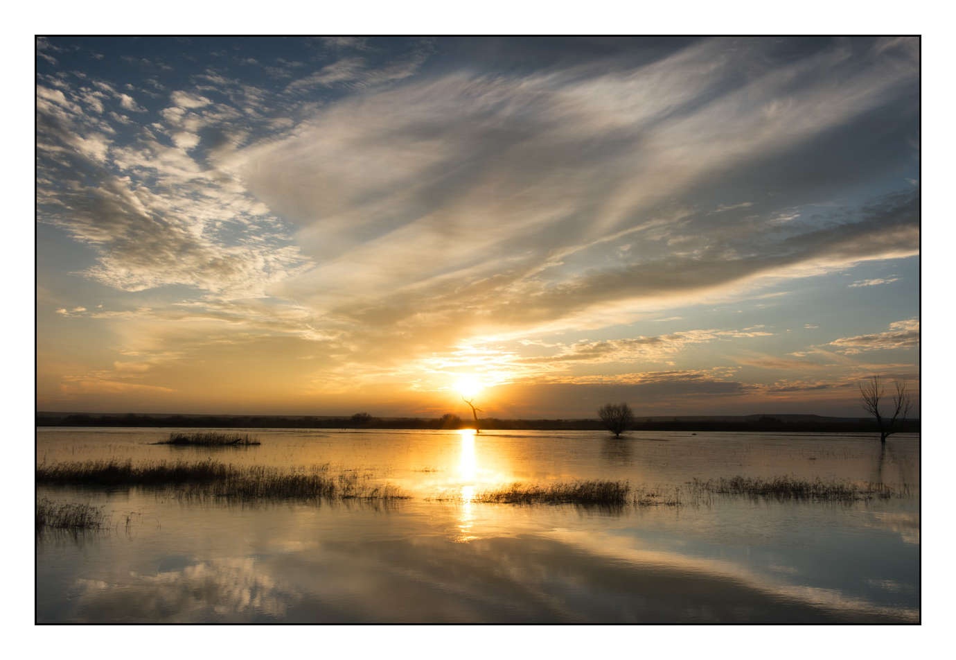 lumieres-et-couleurs/007-merveilles-naturelles-de-bosque-del-apache/edition-limitee/en/05-150107BOSAPA0813