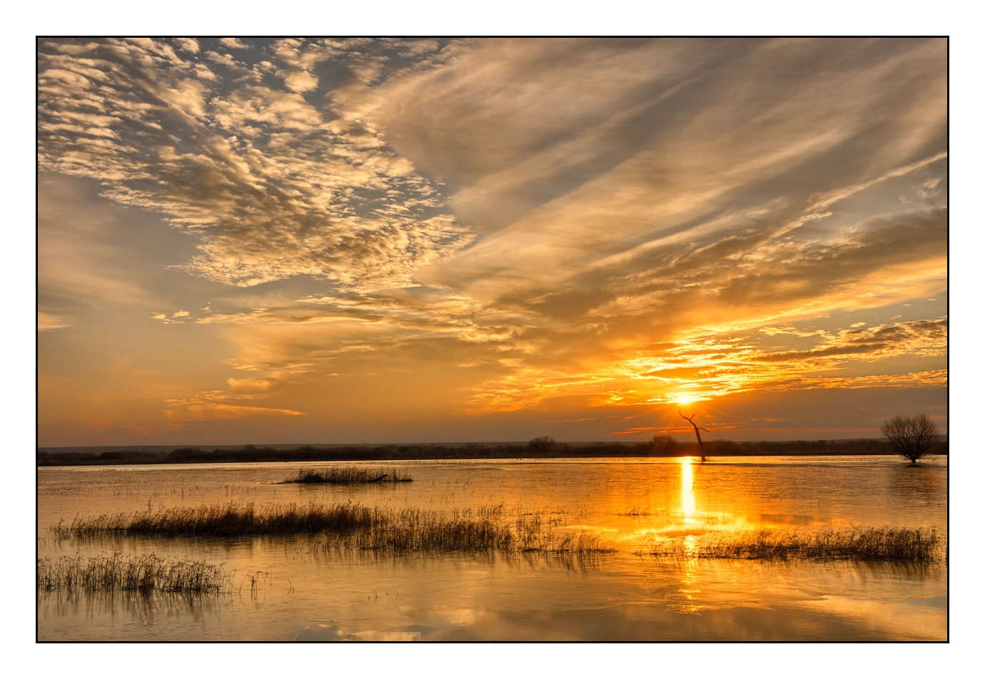 lumieres-et-couleurs/007-merveilles-naturelles-de-bosque-del-apache/edition-limitee/en/06-150107BOSAPAHD0024