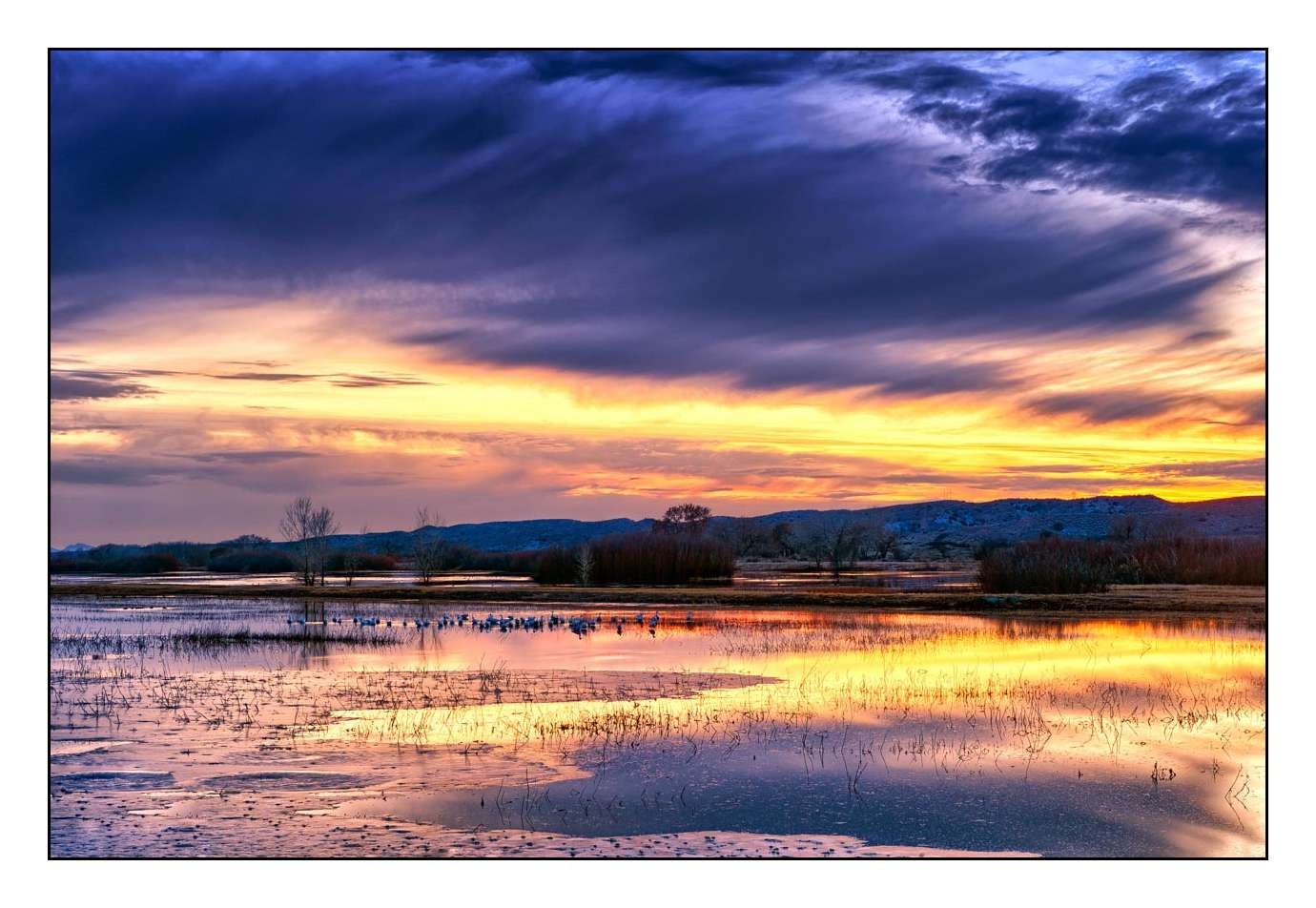 lumieres-et-couleurs/007-merveilles-naturelles-de-bosque-del-apache/edition-limitee/en/07-150107BOSAPAHD0034