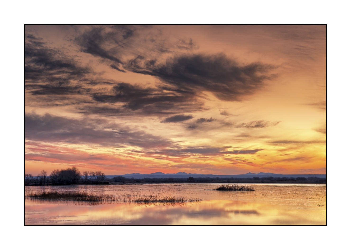 lumieres-et-couleurs/007-merveilles-naturelles-de-bosque-del-apache/edition-ouverte/fr/edition-ouverte-22-32C
