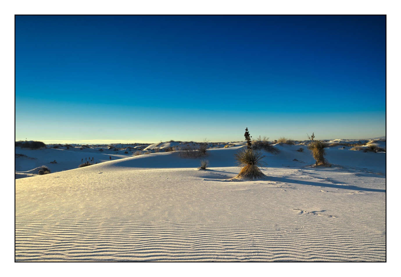 lumieres-et-couleurs/008-merveilles-naturelles-de-white-sand-dunes/fr/08-150101WHIDUNHD0038
