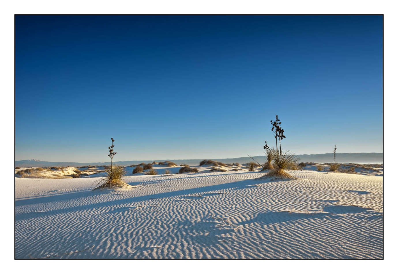 lumieres-et-couleurs/008-merveilles-naturelles-de-white-sand-dunes/fr/09-150101WHIDUNHD0042