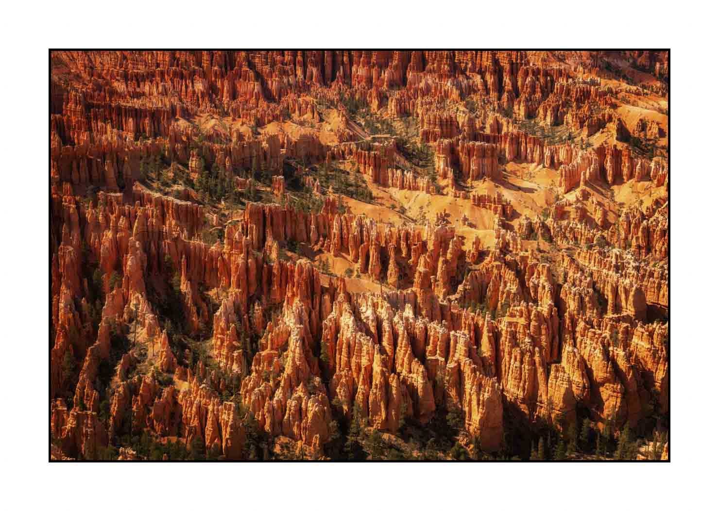lumieres-et-couleurs/009-merveilles-naturelles-de-bryce-canyon/fr/17-paysage-de-bryce-canyon-1931-32C