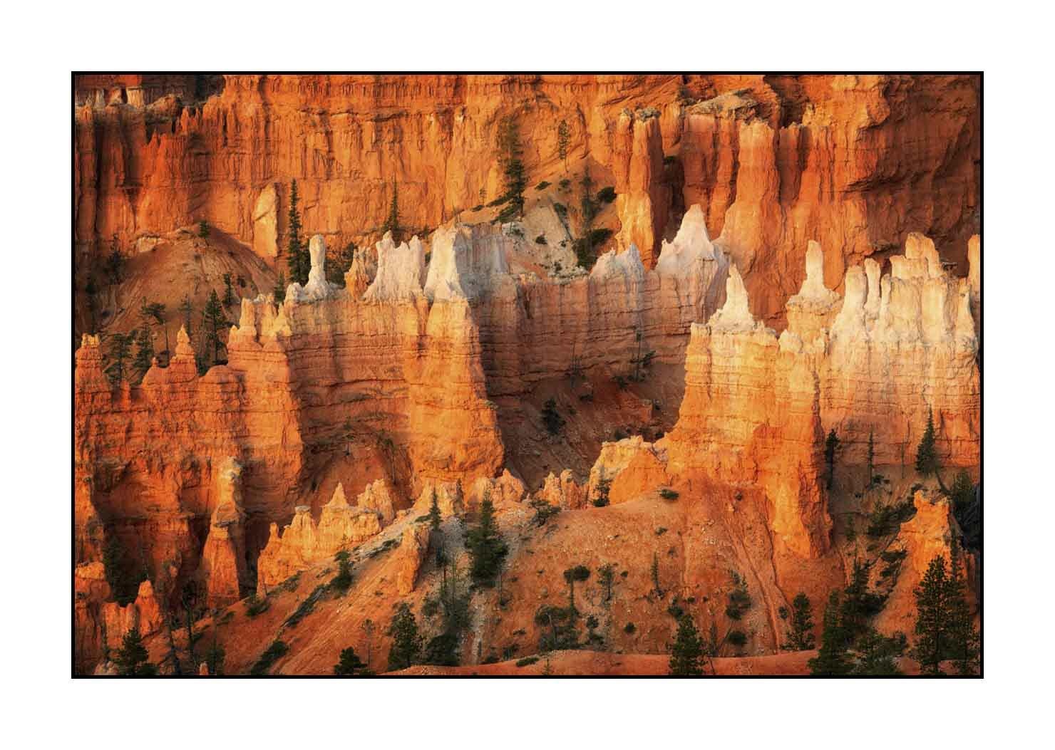 lumieres-et-couleurs/009-merveilles-naturelles-de-bryce-canyon/fr/21-paysage-de-bryce-canyon-1935-32C