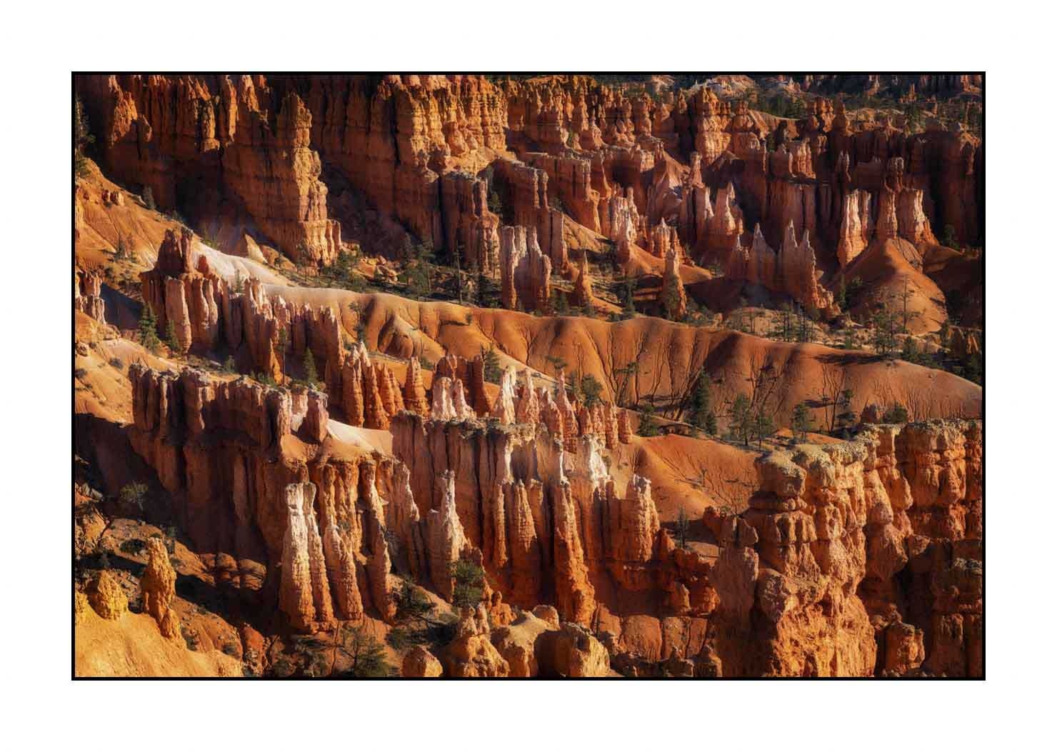 lumieres-et-couleurs/009-merveilles-naturelles-de-bryce-canyon/fr/23-paysage-de-bryce-canyon-1937-32C