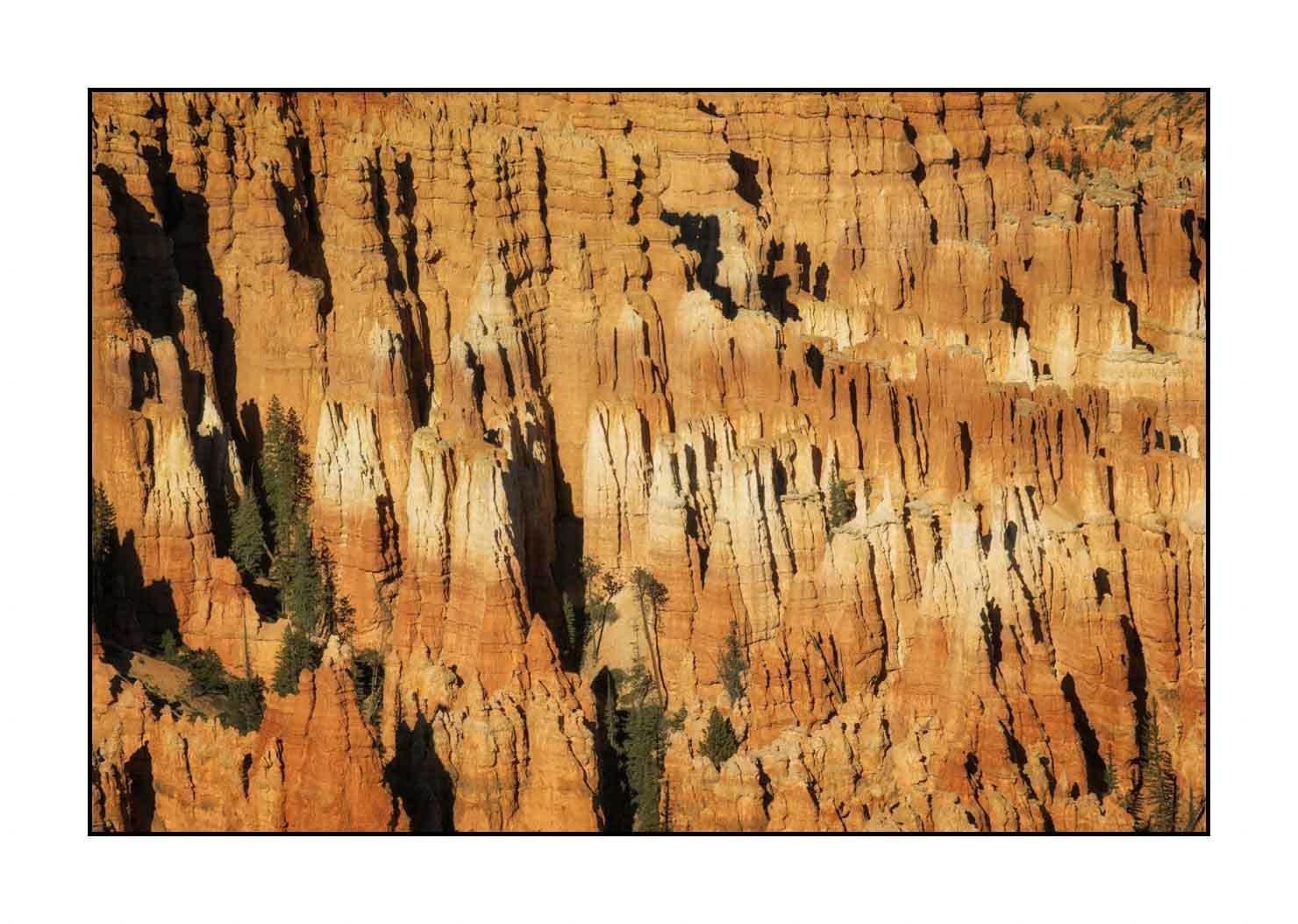 lumieres-et-couleurs/009-merveilles-naturelles-de-bryce-canyon/fr/25-paysage-de-bryce-canyon-1939-32C