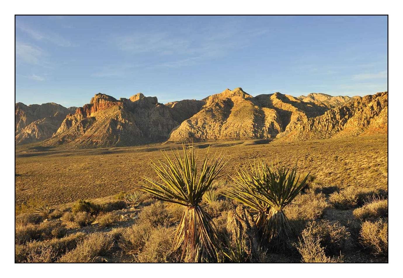 lumieres-et-couleurs/011-merveilles-naturelles-de-red-rock-canyon/fr/04-101117USANEV0011