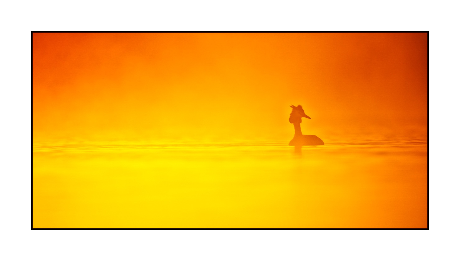 lumieres-et-couleurs/017-ambiances-etangs-de-la-dombes/edition-limitee/fr/25-ambiance-sur-un-etang-de-la-dombes-220517DOMWLD0172C