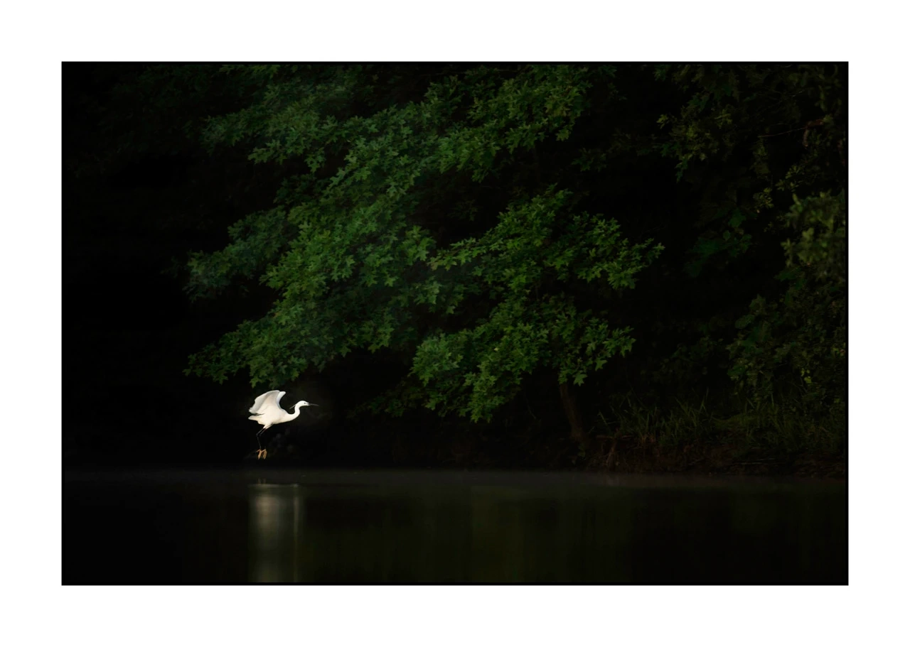 lumieres-et-couleurs/017-ambiances-etangs-de-la-dombes/edition-ouverte/en/31-atmosphere-on-a-pond-of-la-dombes-2418-32C