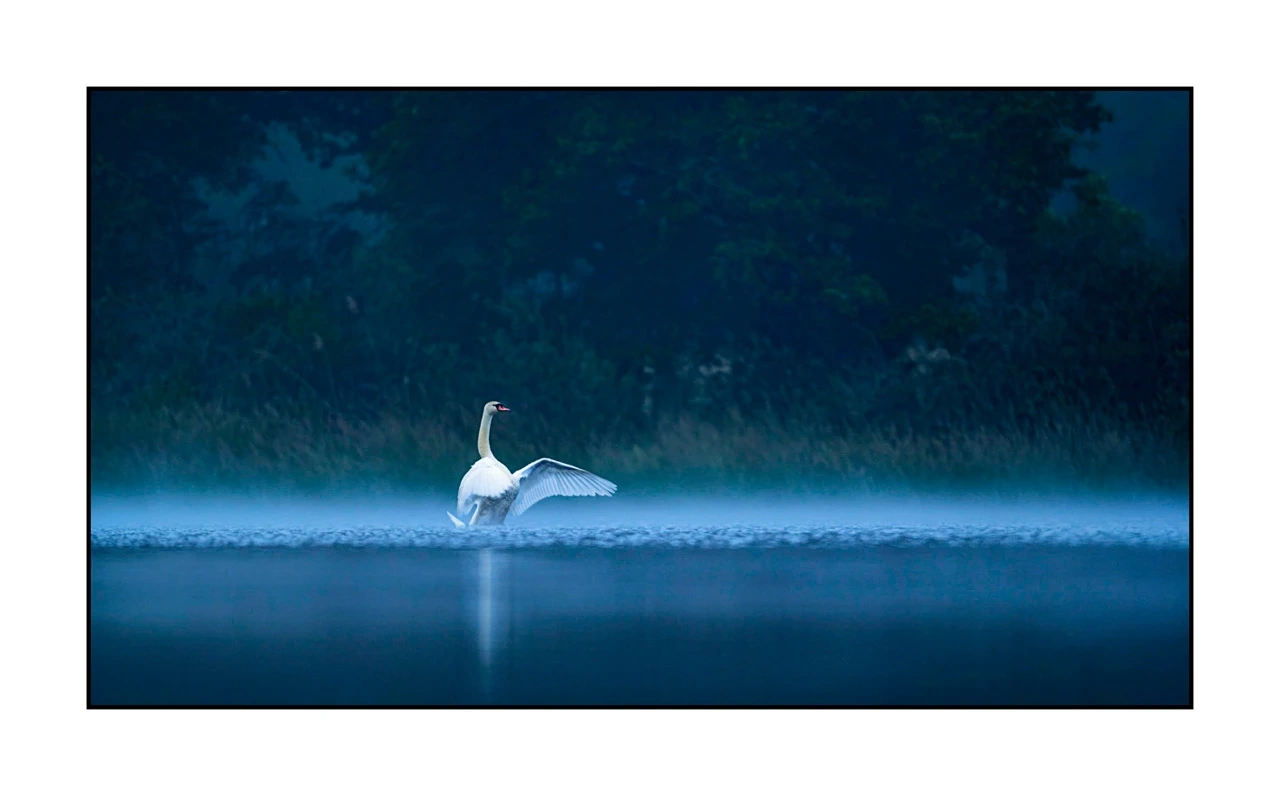 lumieres-et-couleurs/017-ambiances-etangs-de-la-dombes/edition-ouverte/en/48-atmosphere-on-a-pond-of-la-dombes-2435-169C