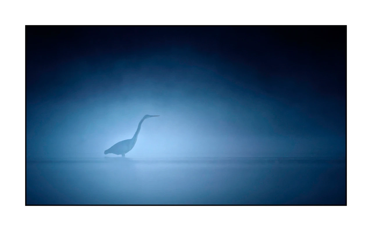 lumieres-et-couleurs/017-ambiances-etangs-de-la-dombes/edition-ouverte/en/57-atmosphere-on-a-pond-of-la-dombes-1367-169C