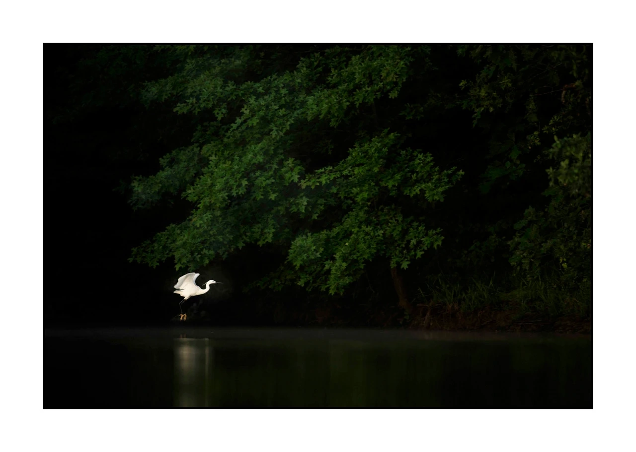 lumieres-et-couleurs/017-ambiances-etangs-de-la-dombes/edition-ouverte/fr/31-ambiance-sur-un-etang-de-la-dombes-2418-32C
