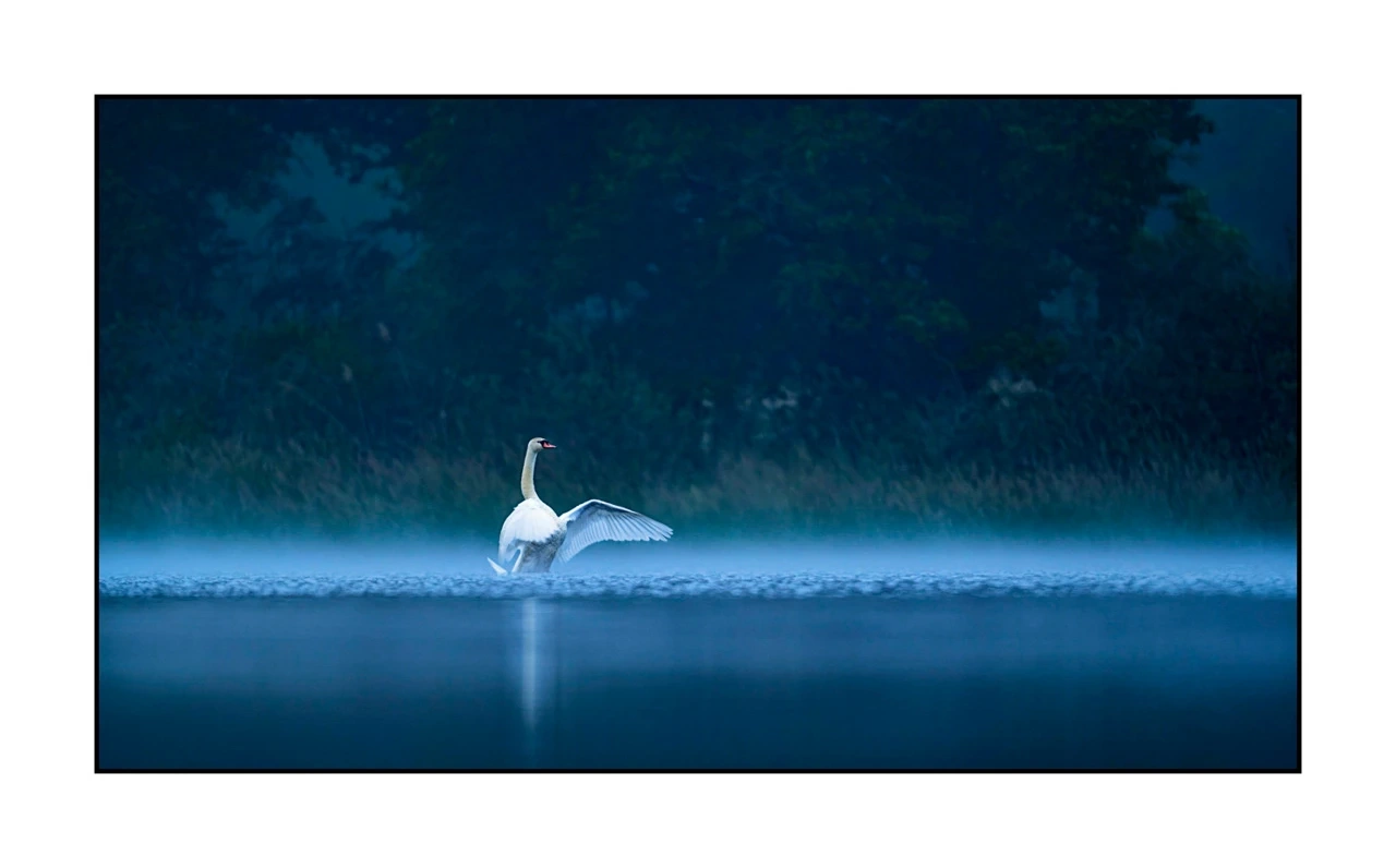 lumieres-et-couleurs/017-ambiances-etangs-de-la-dombes/edition-ouverte/fr/48-ambiance-sur-un-etang-de-la-dombes-2435-169C