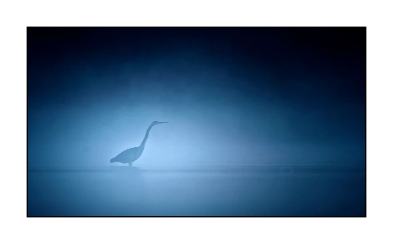 lumieres-et-couleurs/017-ambiances-etangs-de-la-dombes/edition-ouverte/fr/57-ambiance-sur-un-etang-de-la-dombes-1367-169C