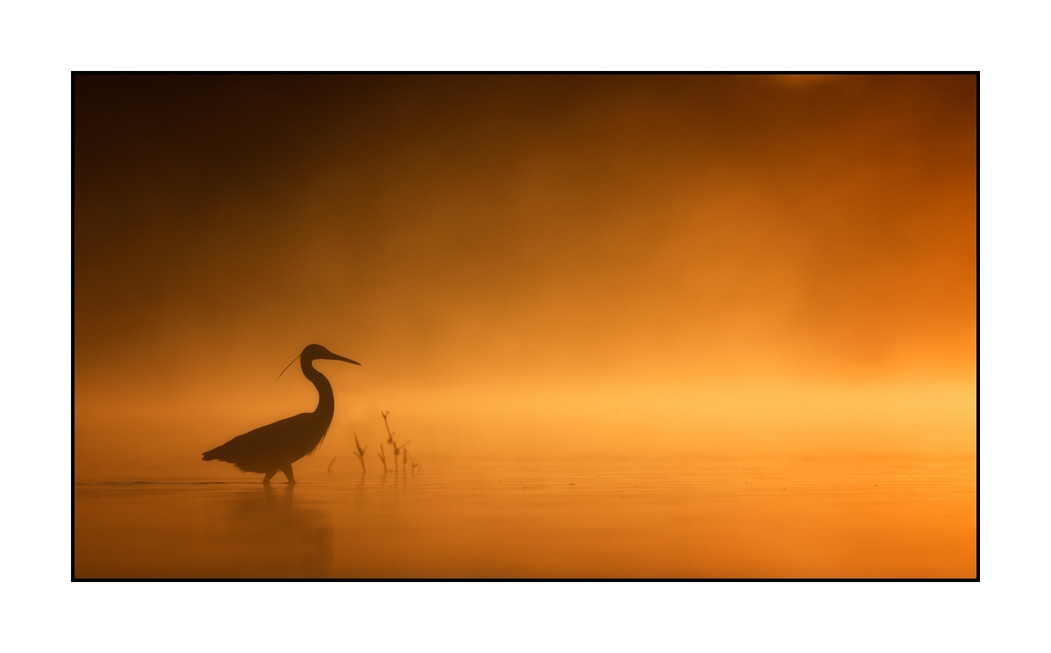 lumieres-et-couleurs/017-ambiances-etangs-de-la-dombes/en/04-atmosphere-on-a-pond-of-la-dombes-190601DOMWLD0058C