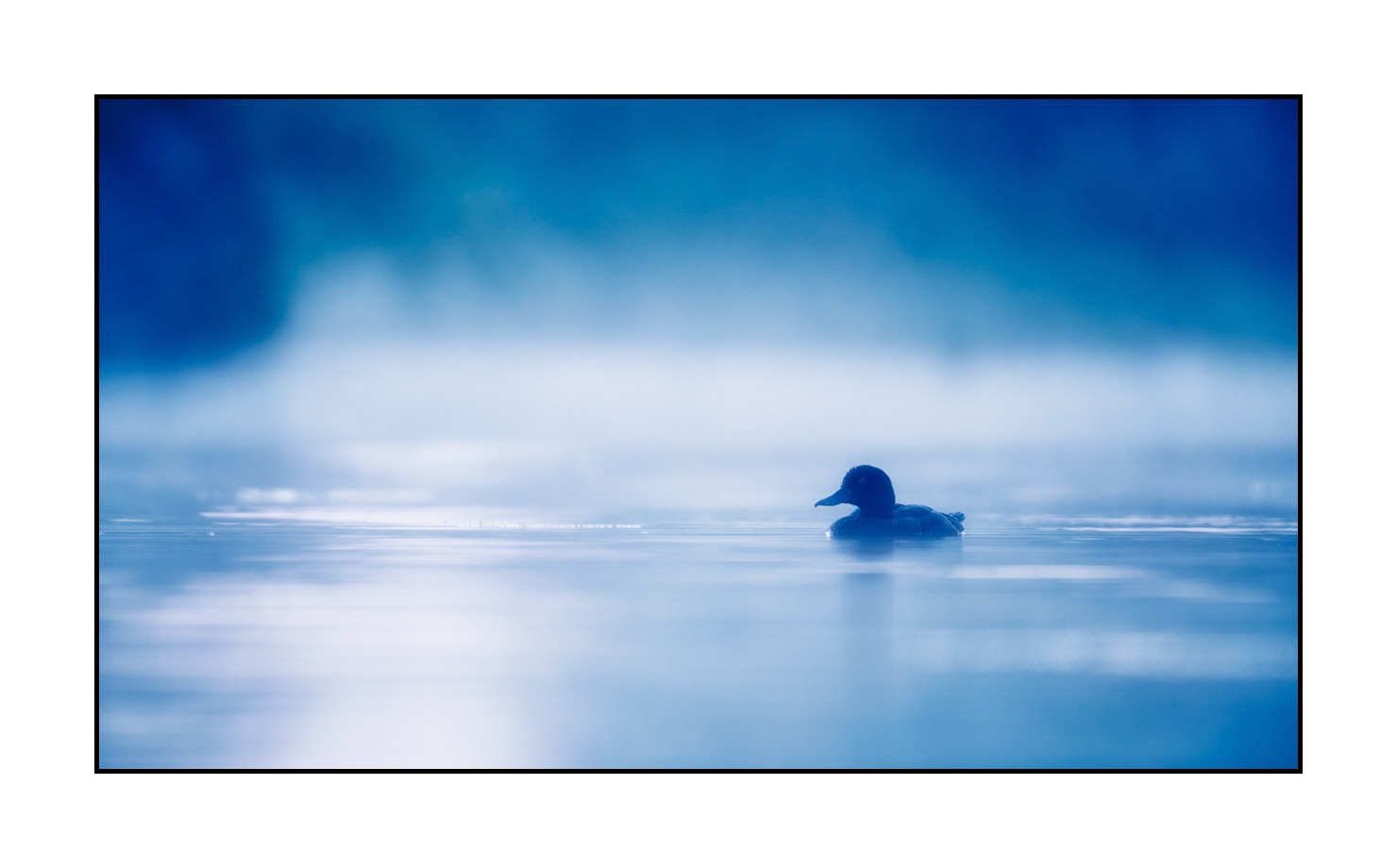 lumieres-et-couleurs/017-ambiances-etangs-de-la-dombes/en/15-atmosphere-on-a-pond-of-la-dombes-190601DOMWLD0410C