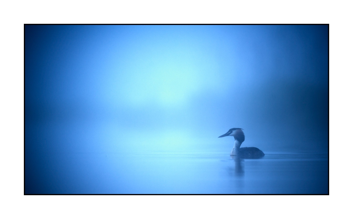 lumieres-et-couleurs/017-ambiances-etangs-de-la-dombes/en/16-atmosphere-on-a-pond-of-la-dombes-190601DOMWLD0689C