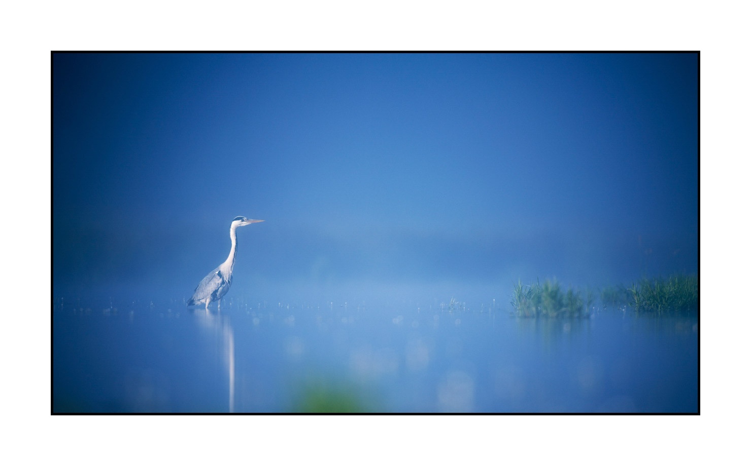 lumieres-et-couleurs/017-ambiances-etangs-de-la-dombes/en/18-atmosphere-on-a-pond-of-la-dombes-190601DOMWLD0778C