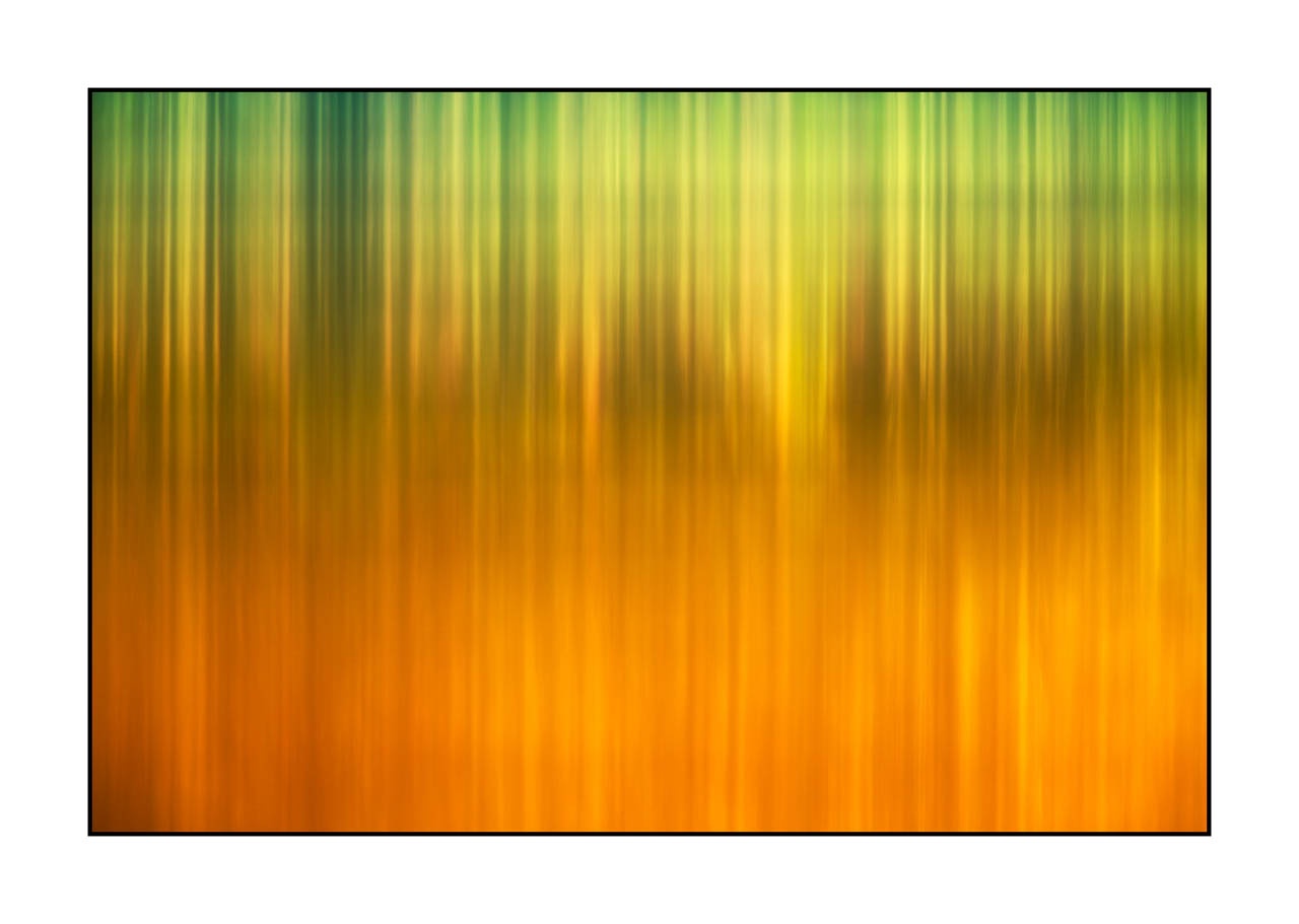 lumieres-et-couleurs/023-illusions-en-couleurs/fr/22-210525DOMCON0250C