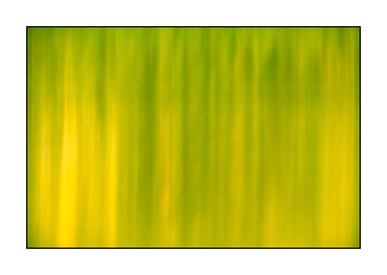 lumieres-et-couleurs/023-illusions-en-couleurs/fr/23-210525DOMCON0258C