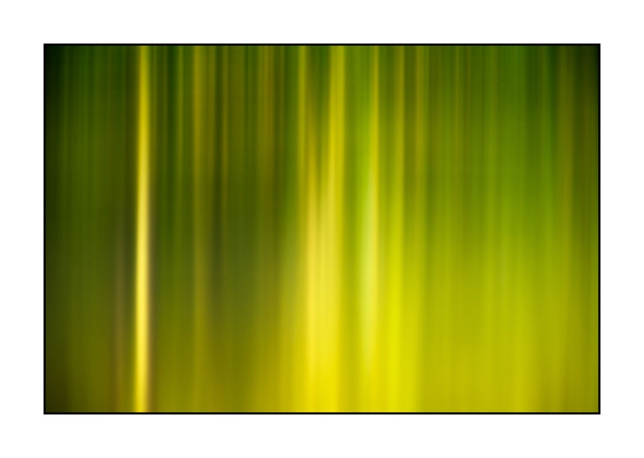 lumieres-et-couleurs/023-illusions-en-couleurs/fr/24-210525DOMCON0290C