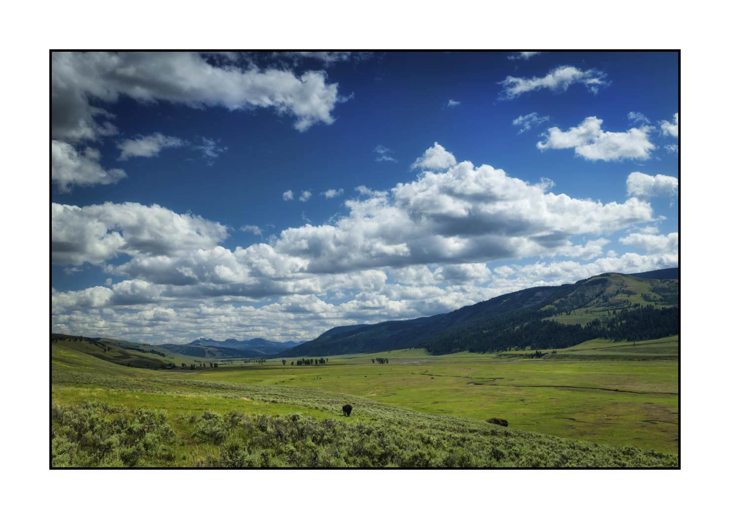 lumieres-et-couleurs/034-merveilles-naturelles-du-yellowstone-en-couleur/fr/28-le-parc-national-du-yellowstone-1850-32C