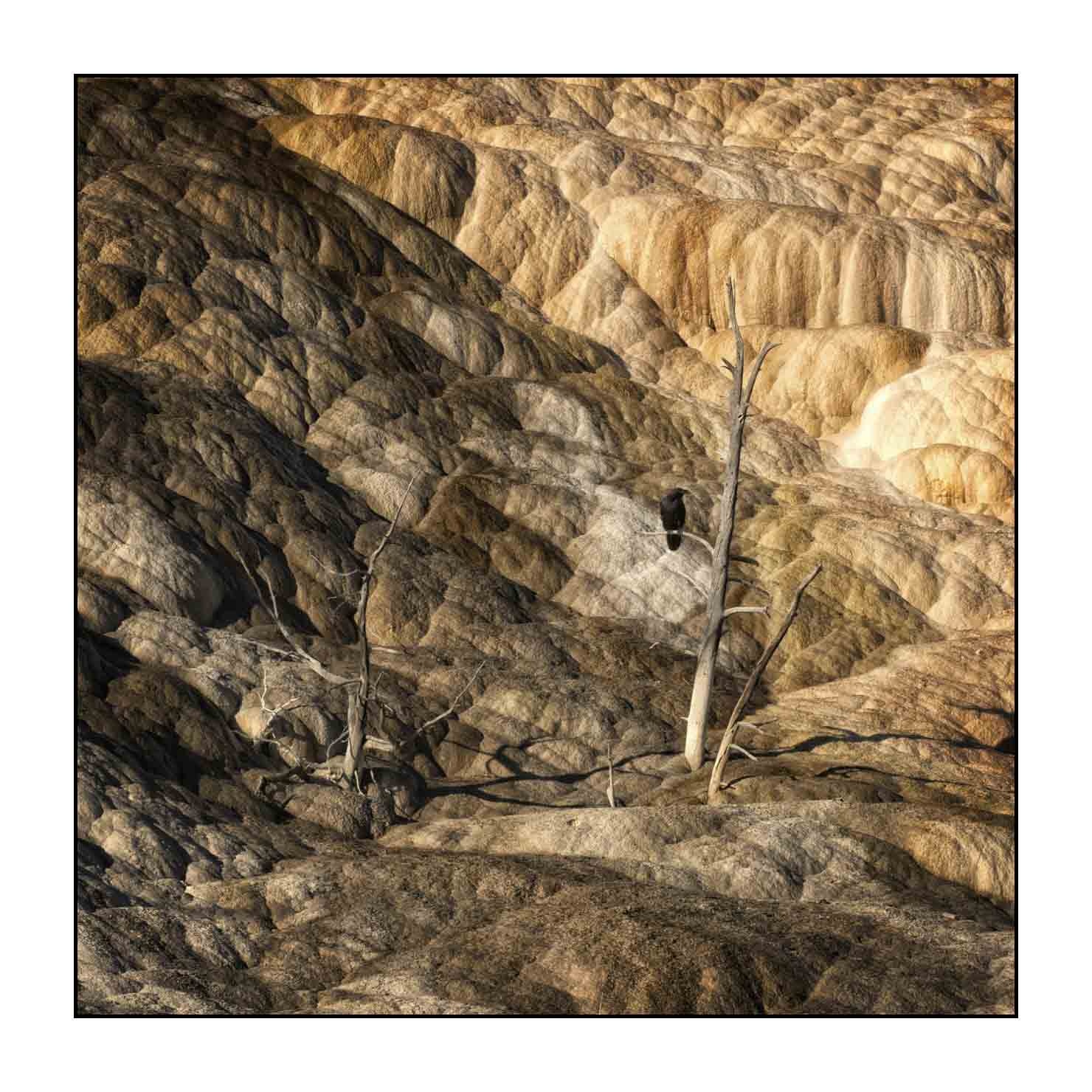 lumieres-et-couleurs/034-merveilles-naturelles-du-yellowstone-en-couleur/fr/47-le-parc-national-du-yellowstone-1869-11C