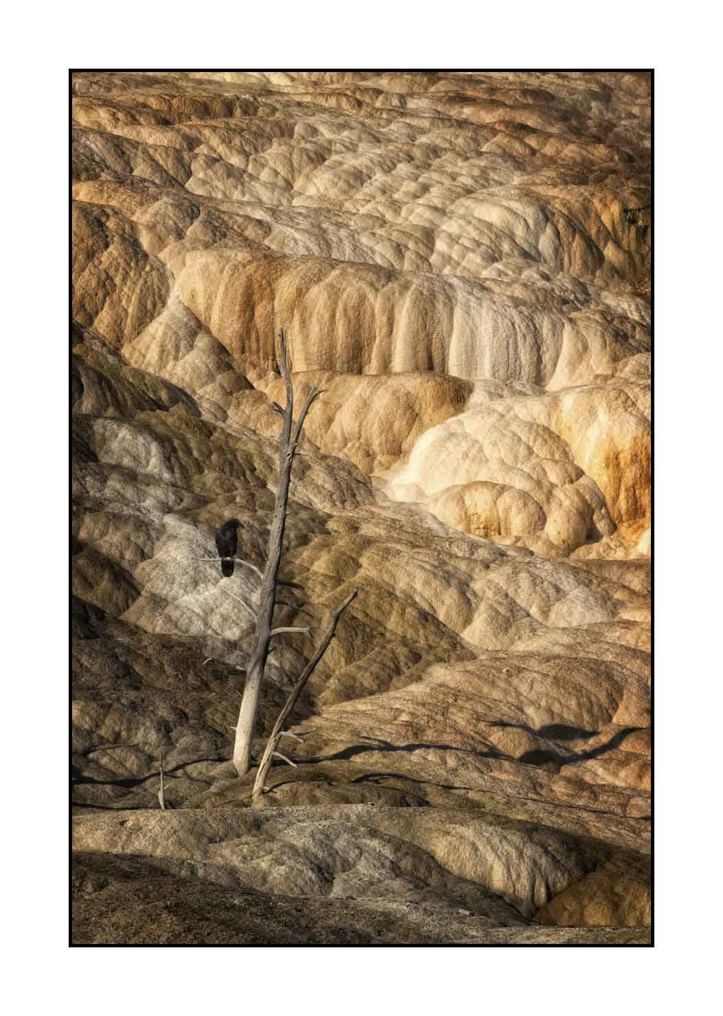 lumieres-et-couleurs/034-merveilles-naturelles-du-yellowstone-en-couleur/fr/48-le-parc-national-du-yellowstone-1870-32C