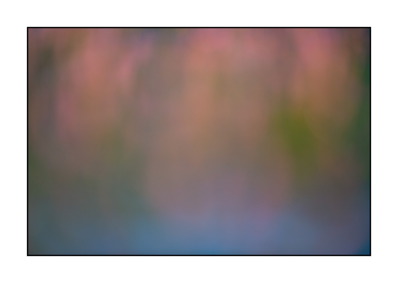 lumieres-et-couleurs/042-jardins-aquatiques/fr/02-jardin-aquatique-220517DOMCON0246C
