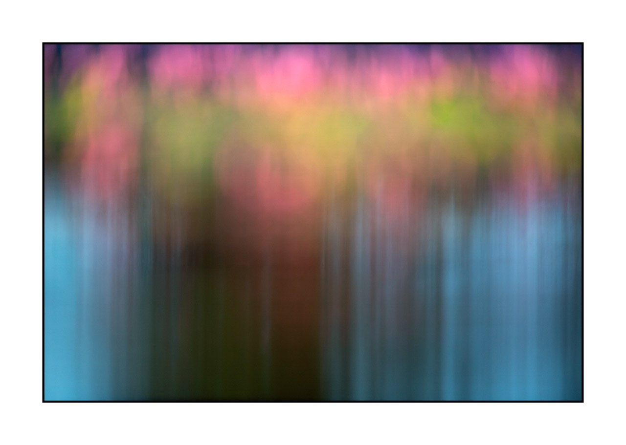 lumieres-et-couleurs/042-jardins-aquatiques/fr/04-jardin-aquatique-220517DOMCON0251C