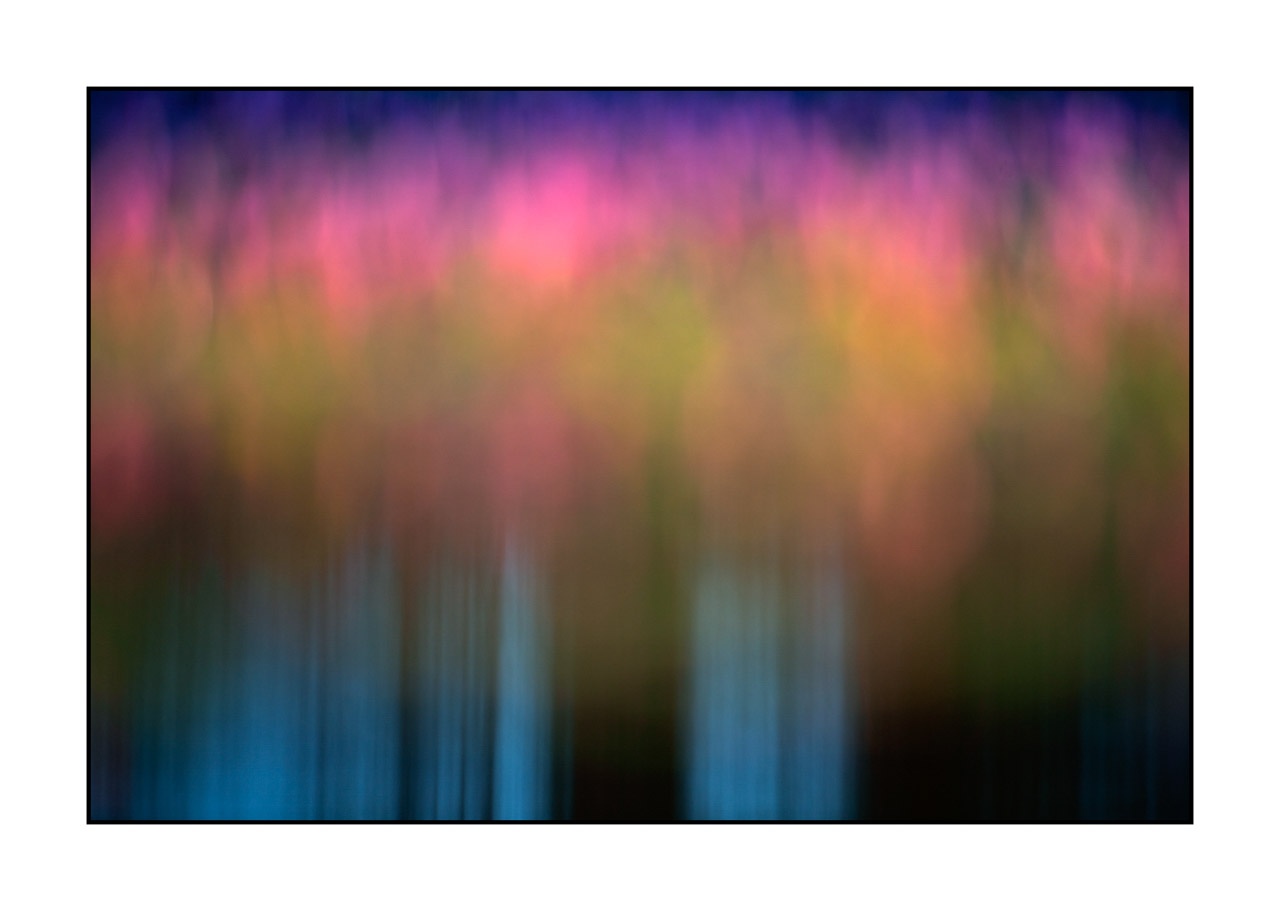 lumieres-et-couleurs/042-jardins-aquatiques/fr/05-jardin-aquatique-220517DOMCON0253C