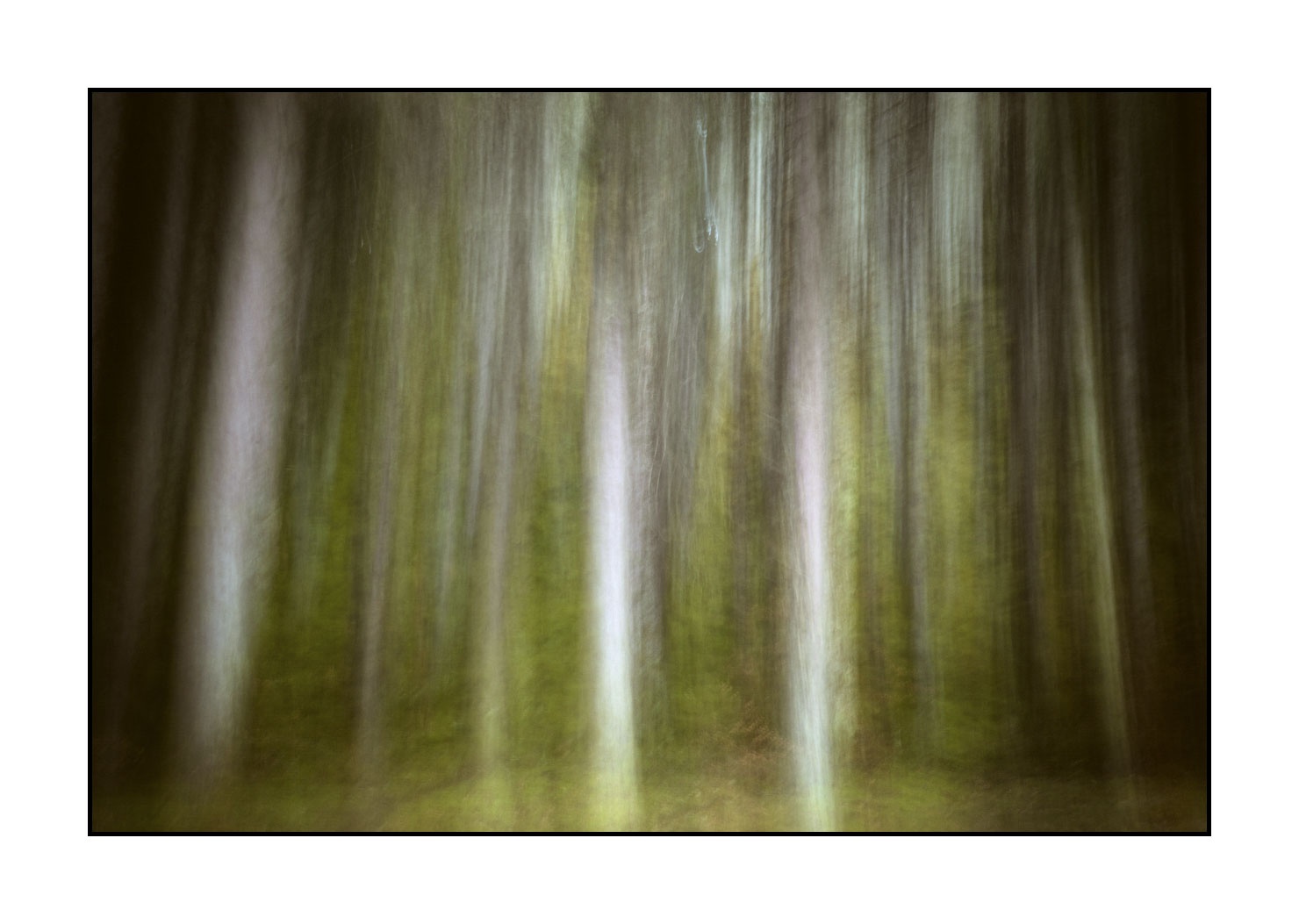 lumieres-et-couleurs/045-la-danse-des-arbres/en/01-the-dance-of-the-trees-1575-32C
