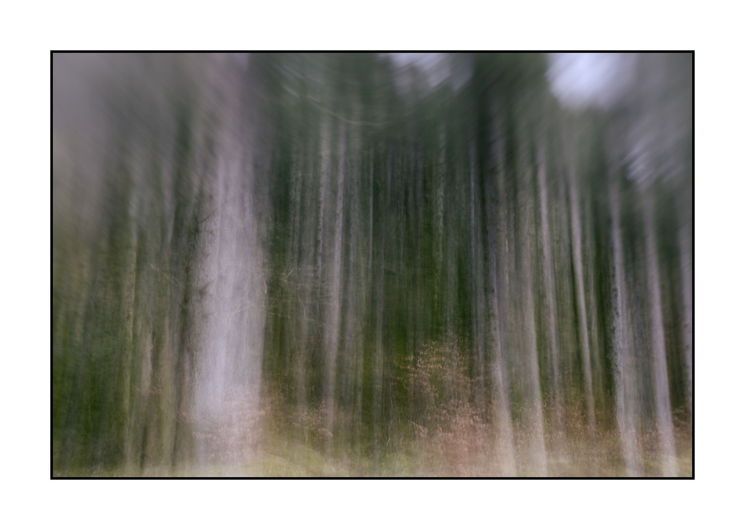lumieres-et-couleurs/045-la-danse-des-arbres/en/02-the-dance-of-the-trees-1576-32C