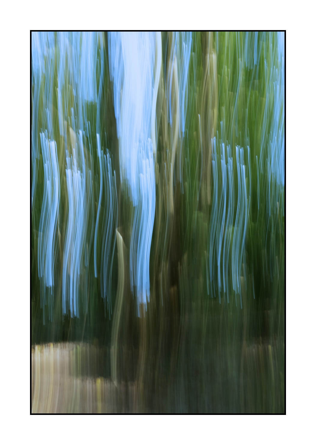 lumieres-et-couleurs/045-la-danse-des-arbres/en/05-the-dance-of-the-trees-1658-32C