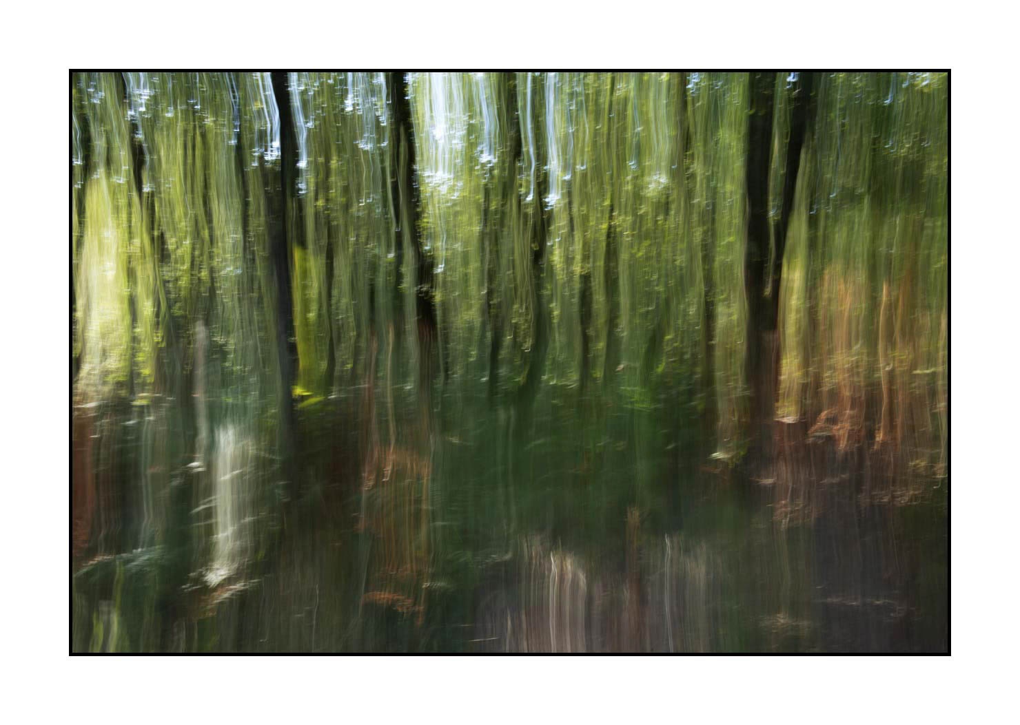 lumieres-et-couleurs/045-la-danse-des-arbres/en/07-the-dance-of-the-trees-1660-32C