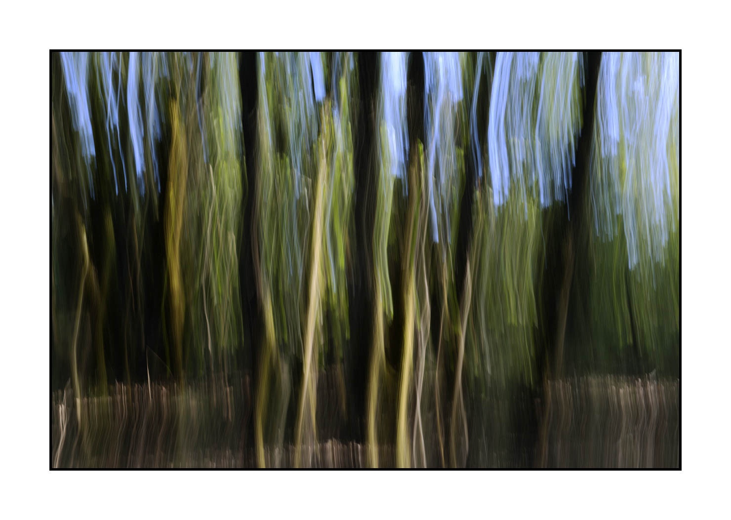 lumieres-et-couleurs/045-la-danse-des-arbres/en/09-the-dance-of-the-trees-1662-32C
