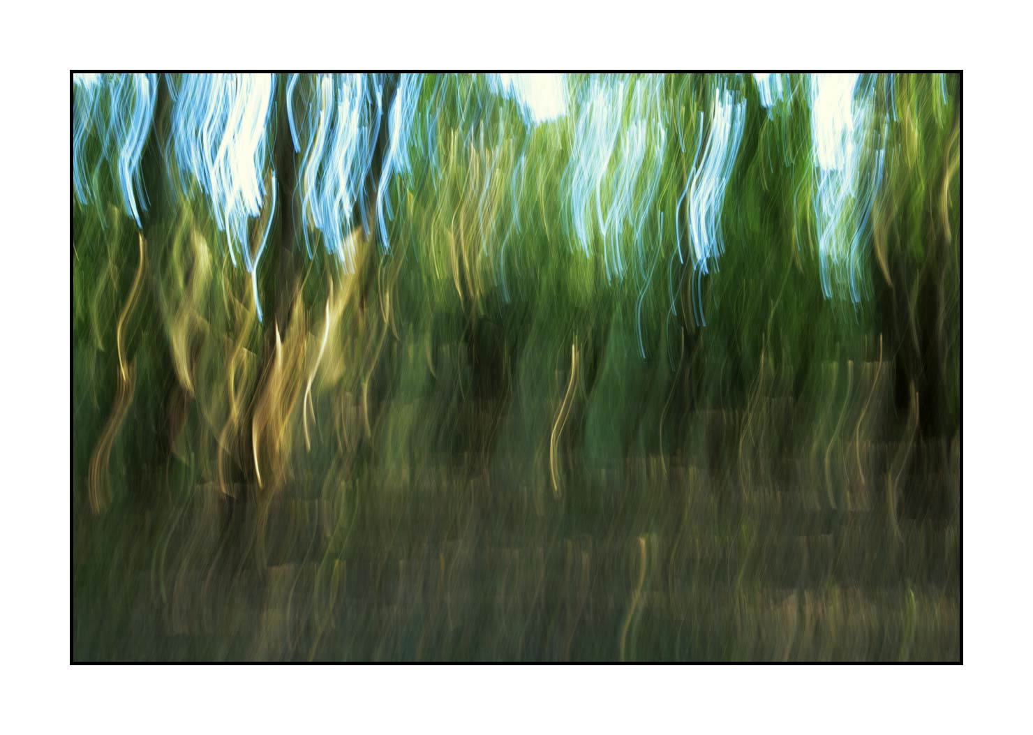 lumieres-et-couleurs/045-la-danse-des-arbres/en/10-the-dance-of-the-trees-1663-32C