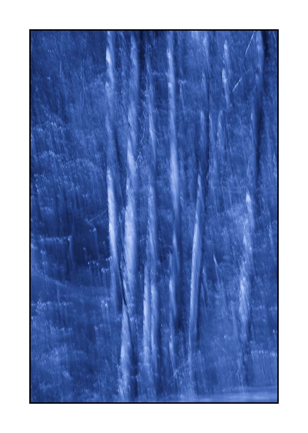 lumieres-et-couleurs/045-la-danse-des-arbres/en/16-the-dance-of-the-trees-1832-32C