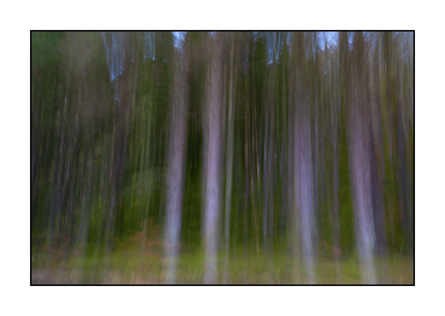 lumieres-et-couleurs/045-la-danse-des-arbres/fr/03-la-danse-des-arbres-1577-32C