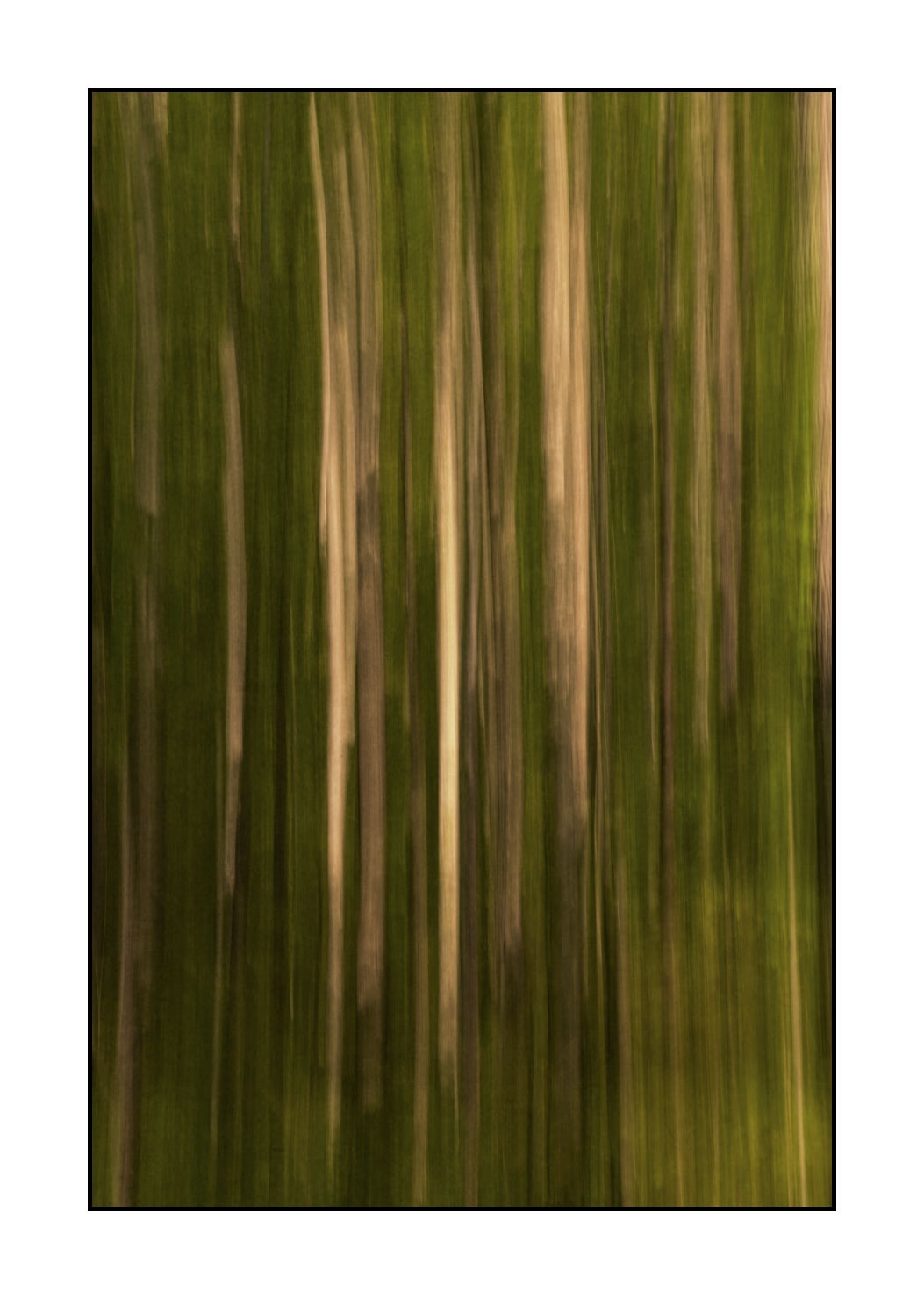lumieres-et-couleurs/045-la-danse-des-arbres/fr/12-la-danse-des-arbres-1828-32C
