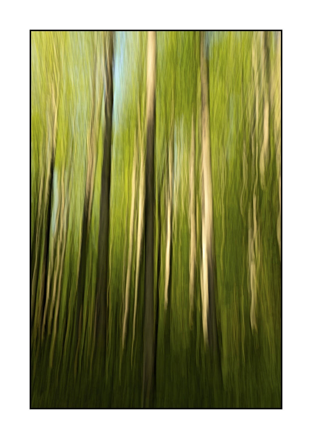 lumieres-et-couleurs/045-la-danse-des-arbres/fr/13-la-danse-des-arbres-1829-32C