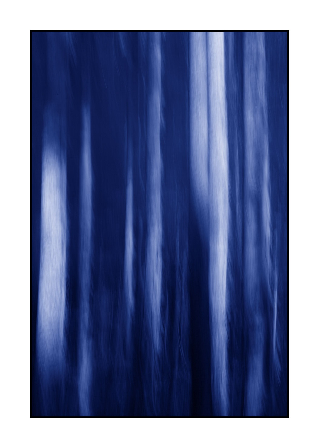 lumieres-et-couleurs/045-la-danse-des-arbres/fr/15-la-danse-des-arbres-1831-32C