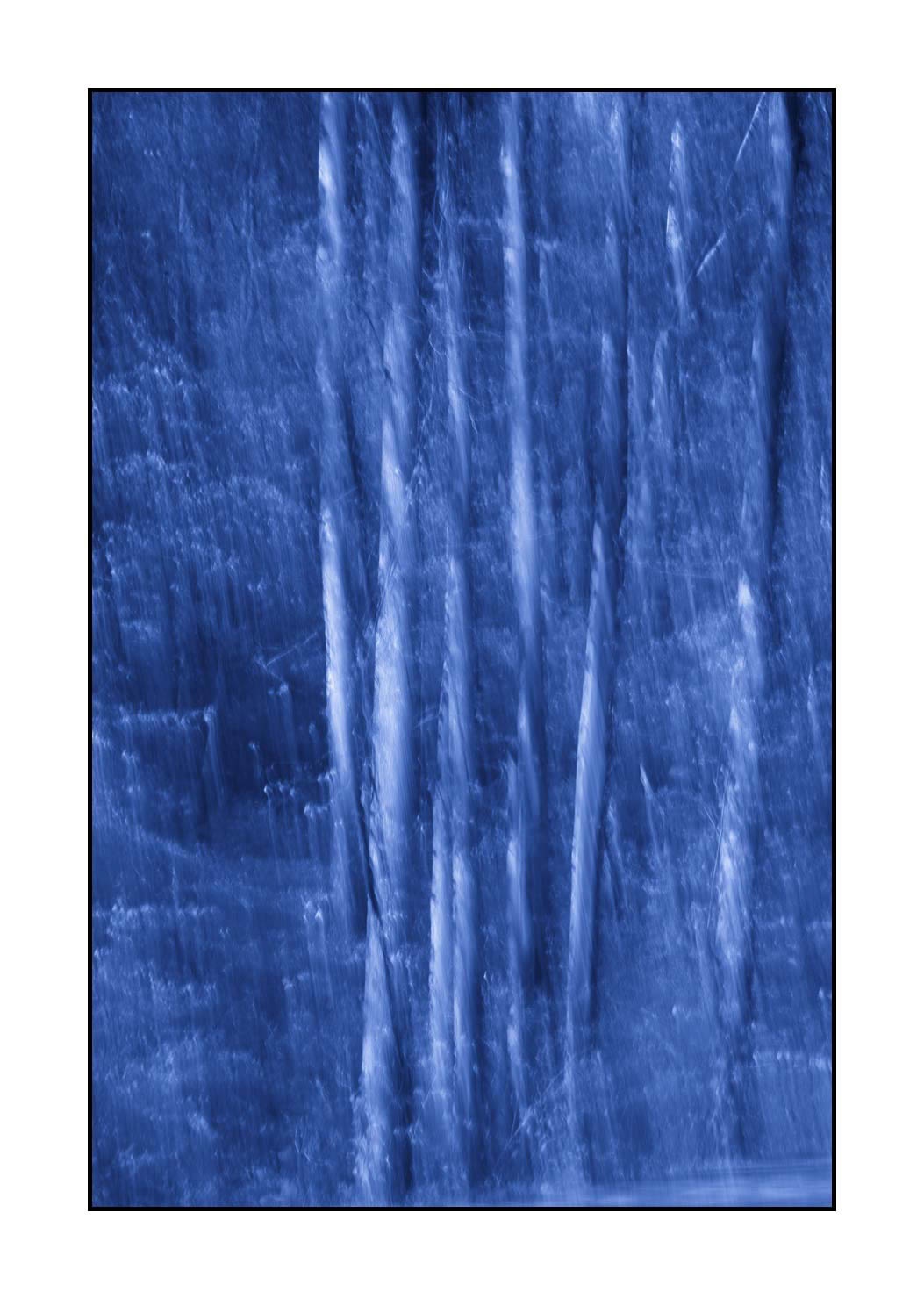 lumieres-et-couleurs/045-la-danse-des-arbres/fr/16-la-danse-des-arbres-1832-32C