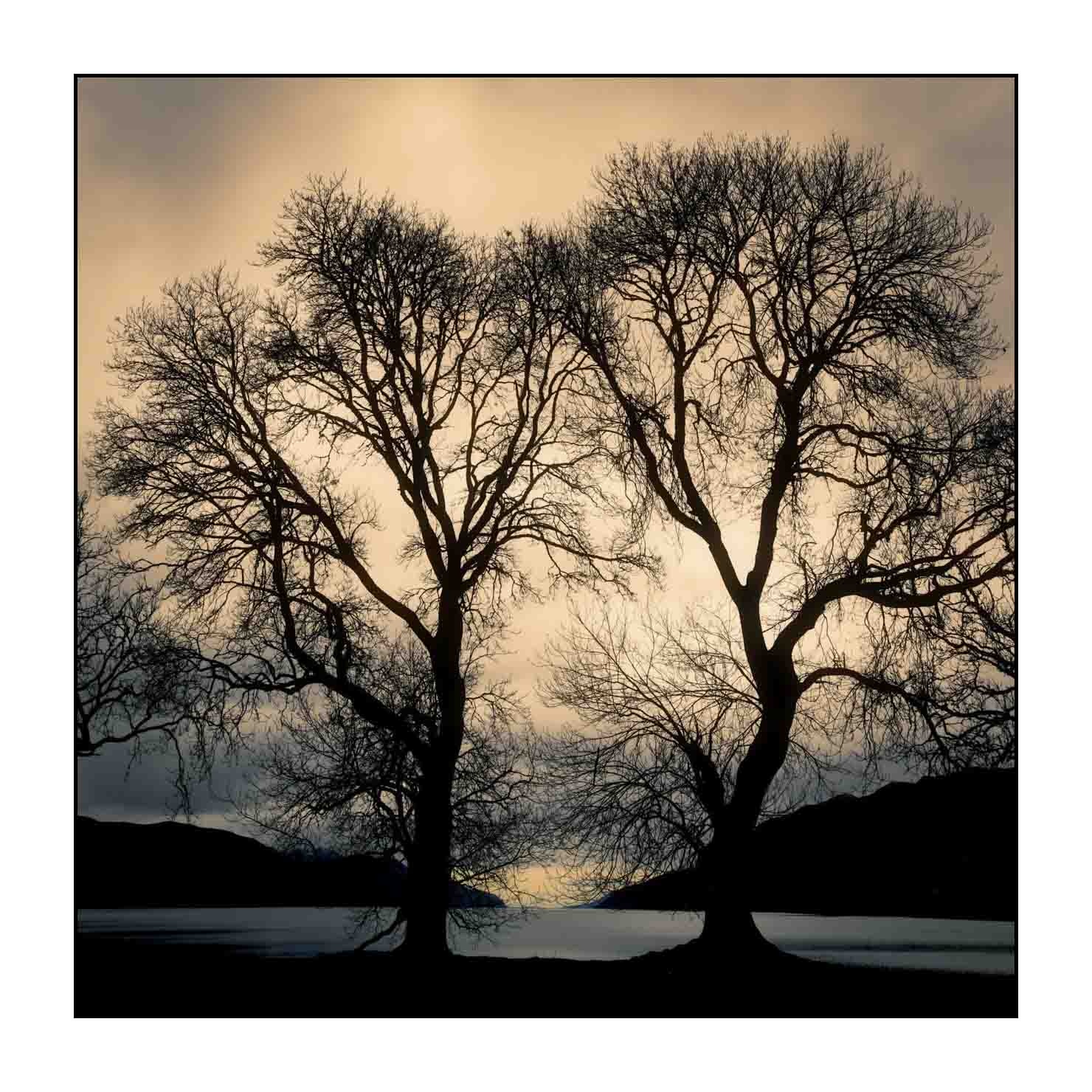 lumieres-et-couleurs/046-les-mysteres-du-loch-ness/fr/04-paysage-loch-ness-en-ecosse-1582-11C